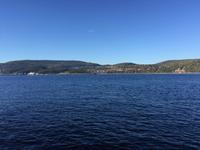 428 Walbeobachtung im St. Lorenz Strom