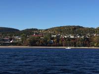 430 Walbeobachtung im St. Lorenz Strom