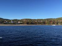 431 Walbeobachtung im St. Lorenz Strom