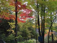 440 Montmorency Wasserfälle bei Quebec