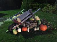 480 Zuckerhütte Sugar Shack