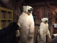 495 Zuckerhütte Sugar Shack