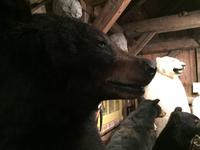 496 Zuckerhütte Sugar Shack