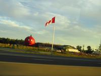 Auf der Fahrt nach Tornoto..