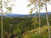 Aussicht über Jasper