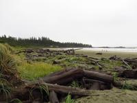 Vancouver Island - Tofino