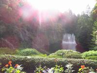 Butchards Garden Springbrunnen