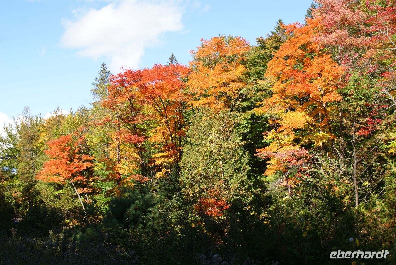 116 Indian Summer