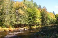 118 Indian Summer