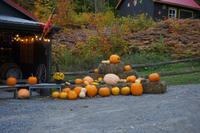 119 Sugar Shack