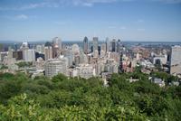 Ausblick vom Mont Royal auf Montreal