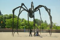 Kunst am Wegesrand in Ottawa