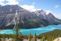 Eine traumhafte Kulisse wie gemalt! der Peyto Lake