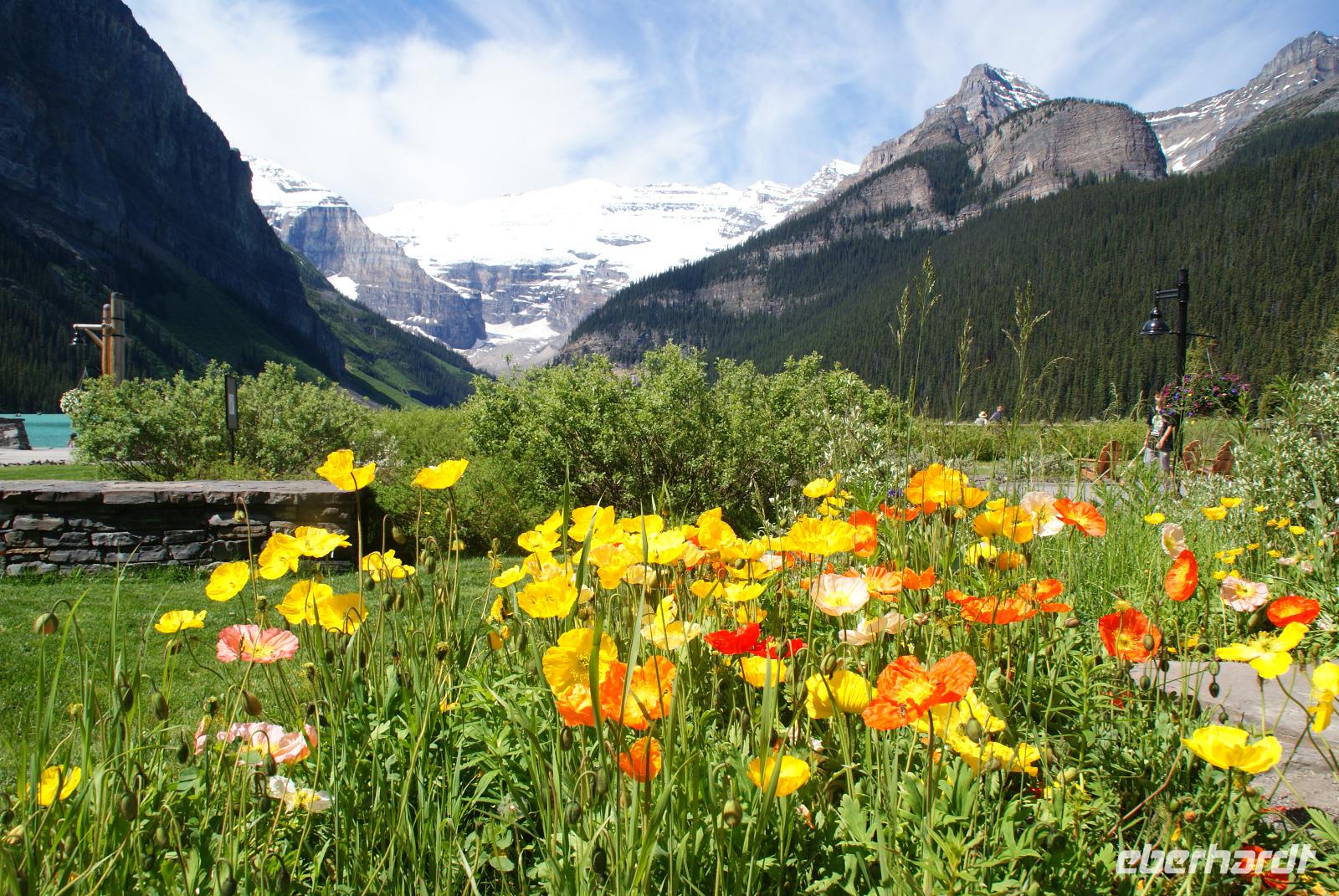 am wunderschönen Lake Louise