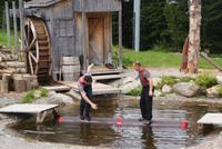 Lumberjack Show auf Grouse Mountain, welch ein Spaß!