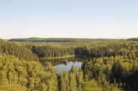 Panorama Zugfahrt mit dem 