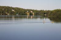Panorama Zugfahrt mit dem 
