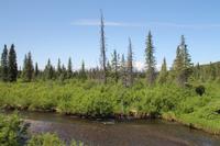 Panorama Zugfahrt mit dem 