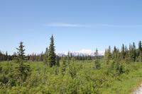 Panorama Zugfahrt mit dem 