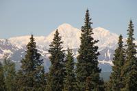 Panorama Zugfahrt mit dem 