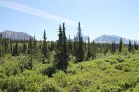Panorama Zugfahrt mit dem 