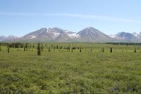 Panorama Zugfahrt mit dem 