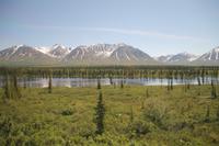 Panorama Zugfahrt mit dem 