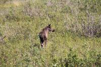 Panorama Zugfahrt mit dem 