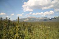 Panorama Zugfahrt mit dem 