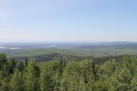 Fahrt von Fairbanks nach Denala