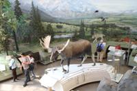 Weiterfahrt nach Denali