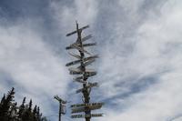 Rundgang durch Denali 