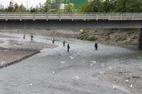 Anchorage - Stadtrundfahrt