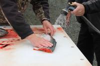 Anchorage - Stadtrundfahrt