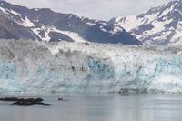 Hubbard Gletscher