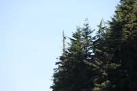 Icy st.point: Ausflug 