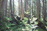 Icy St.Point: Ausflug 