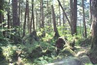 Icy St.Point: Ausflug 