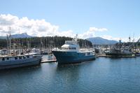 Icy St.Point: Freizeit in Hoonath