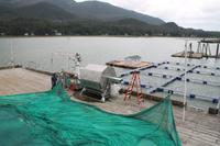Lachsfarm in Juneau
