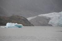 Juneau: Mendenhall Gletscher