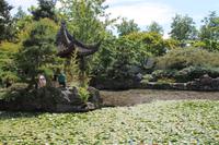 Vancouver - Stadtrundfahrt - Chinatown