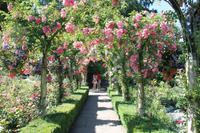 Butchart Garden