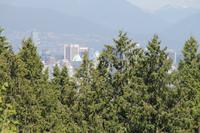 Vancouver - Elisabeth Garden