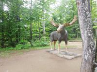 060 Sainte-Anne Canyon