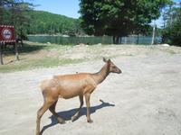 102 Omega Wildlife Park