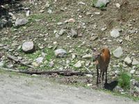 104 Omega Wildlife Park