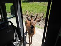 105 Omega Wildlife Park