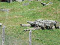 108 Omega Wildlife Park