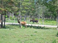 111 Omega Wildlife Park